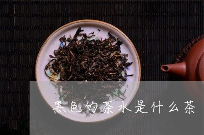 黑色的茶水是什么茶/2023031977251