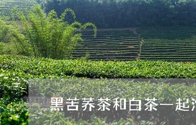 黑苦荞茶和白茶一起泡吗/2023033006828