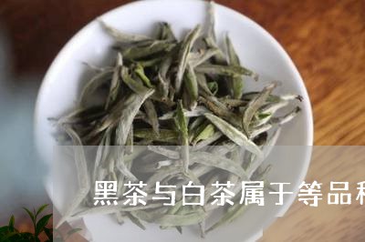 黑茶与白茶属于等品种茶/2023033095048