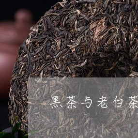 黑茶与老白茶哪个好一点/2023033058673