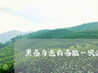 黑茶与老白茶能一块泡茶/2023033008381