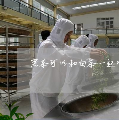 黑茶可以和白茶一起喝吗/2023033070815