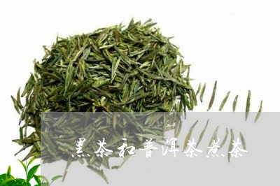 黑茶和普洱茶煮茶/2023041115171