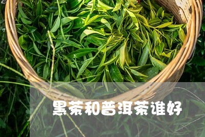 黑茶和普洱茶谁好/2023041204715