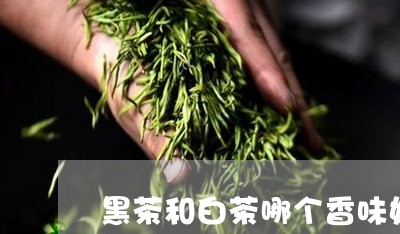 黑茶和白茶哪个香味好点/2023033087361