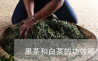 黑茶和白茶的功效哪个好/2023033053040