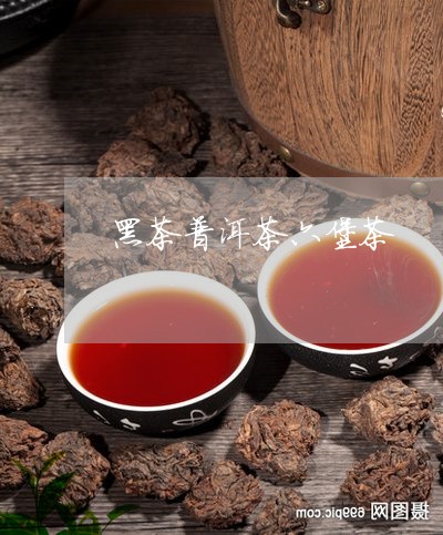 黑茶普洱茶六堡茶/2023031655138