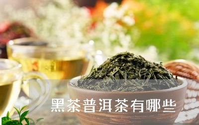 黑茶普洱茶有哪些/2023041103837