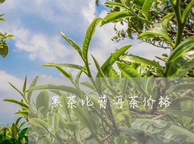 黑茶比普洱茶价格/2023041150404