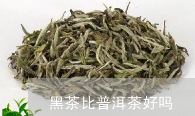 黑茶比普洱茶好吗/2023041181737