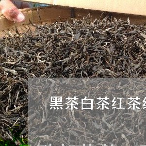 黑茶白茶红茶绿茶对人体/2023033014938