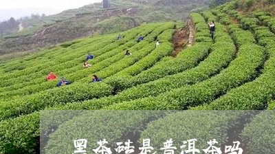 黑茶砖是普洱茶吗/2023041208269