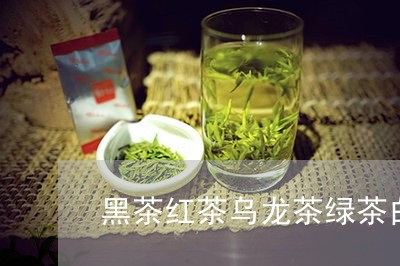 黑茶红茶乌龙茶绿茶白茶/2023033035493