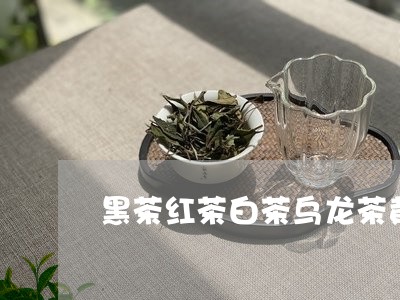 黑茶红茶白茶乌龙茶黄茶/2023033081512