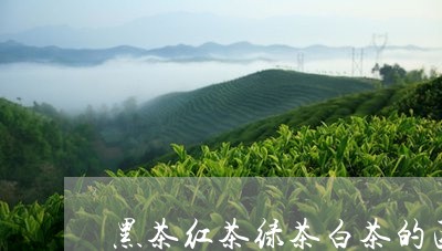 黑茶红茶绿茶白茶的区别/2023033017361