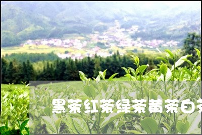 黑茶红茶绿茶黄茶白茶茶/2023033047383