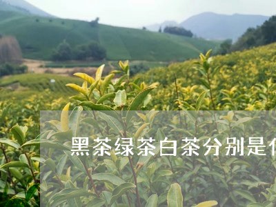 黑茶绿茶白茶分别是什么/2023033065161