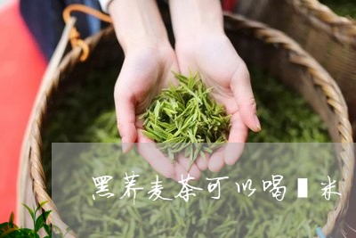 黑荞麦茶可以喝薏米/2023041494369