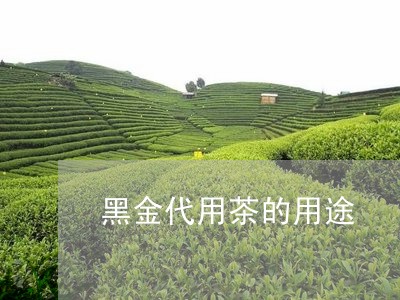 黑金代用茶的用途/2023032597370