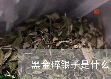 黑金碎银子是什么茶/2023041661694