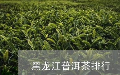 黑龙江普洱茶排行/2023040106158