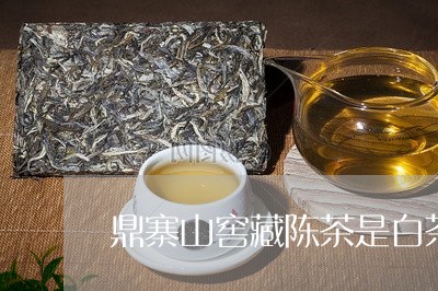 鼎寨山窖藏陈茶是白茶吗/2023033038380