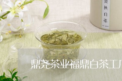 鼎尧茶业福鼎白茶工厂店/2023033034071