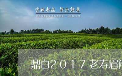 鼎白2017老寿眉闷煮泡/2023033092846