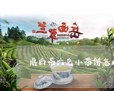 鼎白茶六克小茶饼怎么泡/2023033018695