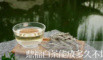 鼎福白茶能放多久不坏呢/2023033050614