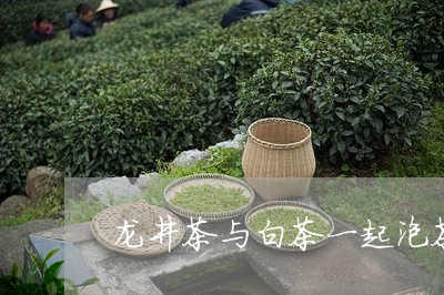 龙井茶与白茶一起泡茶喝/2023033083624