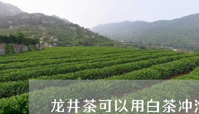 龙井茶可以用白茶冲泡吗/2023033097269