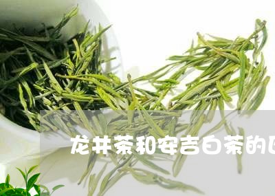 龙井茶和安吉白茶的区别/2023033039393