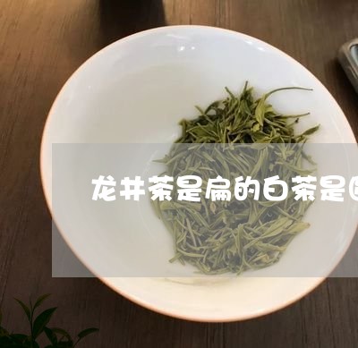 龙井茶是扁的白茶是圆的/2023033003847