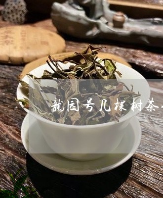 龙园号几棵树茶化石/2023041646050