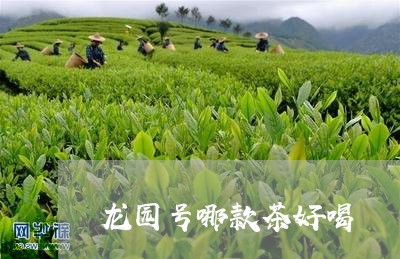 龙园号哪款茶好喝/2023031827480