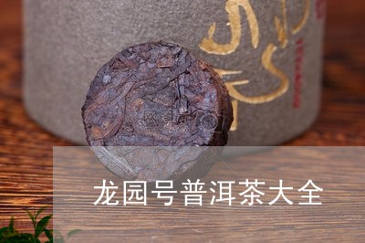 龙园号普洱茶大全/2023041007939