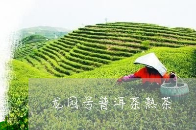 龙园号普洱茶熟茶/2023041338482