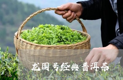 龙园号经典普洱茶/2023041002149