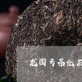 龙园号茶化石一棵树/2023041600503