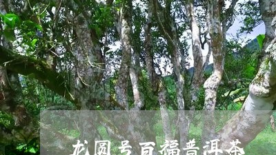 龙圆号百福普洱茶/2023040108382