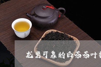 龙岩可靠的白茶茶叶招商/2023033022636