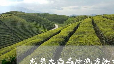 龙岩大白茶冲泡方法步骤/2023033001694