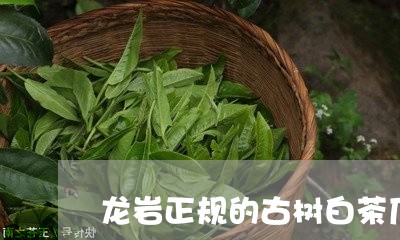 龙岩正规的古树白茶厂家/2023033076059