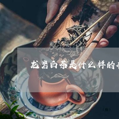 龙岩白茶是什么样的香味/2023033095857