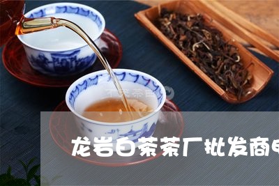 龙岩白茶茶厂批发商电话/2023033006360