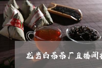 龙岩白茶茶厂直播间视频/2023033003838