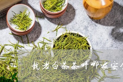 龙岩白茶茶叶哪家安全点/2023033072735