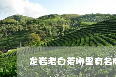 龙岩老白茶哪里有名牌卖/2023033033827