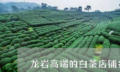 龙岩高端的白茶店铺名称/2023033033925